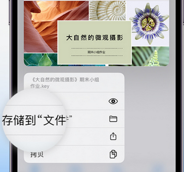 广东apple维修中心分享iPhone文件应用中存储和找到下载文件