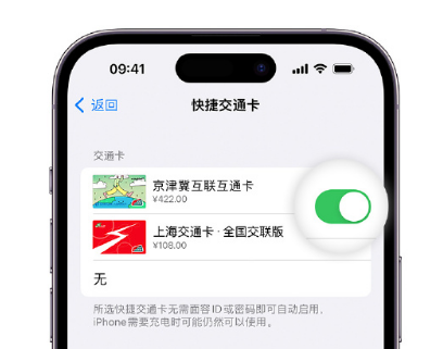 广东apple维修点分享iPhone上更换Apple Pay快捷交通卡手绘卡面 