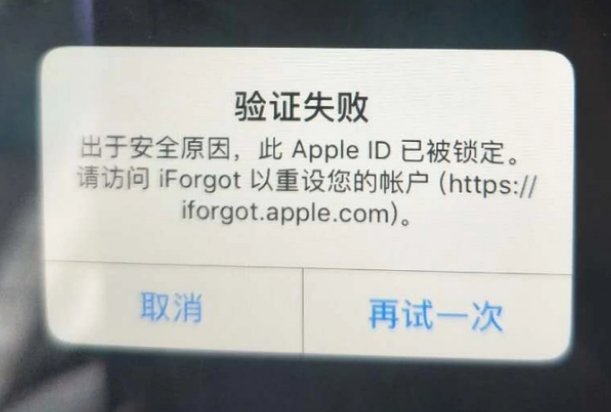 广东iPhone维修分享iPhone上正常登录或使用AppleID怎么办 