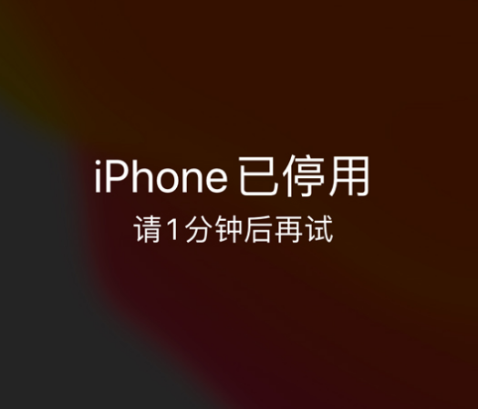 广东苹果手机维修分享:iPhone 显示“不可用”或“已停用”怎么办？还能保留数据吗？ 