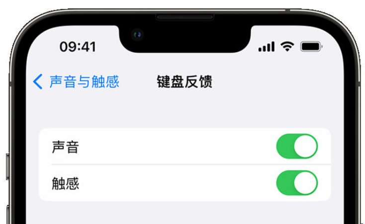 广东苹果手机维修分享iPhone 14触感键盘使用方法 