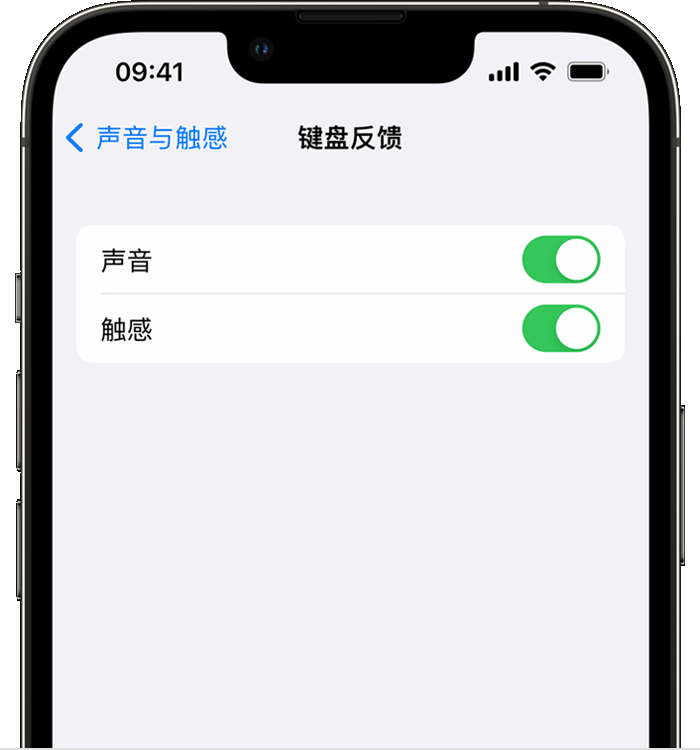 广东苹果14维修店分享如何在 iPhone 14 机型中使用触感键盘 