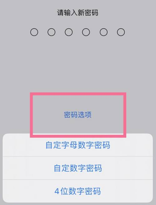 广东苹果14维修分享iPhone 14plus设置密码的方法 