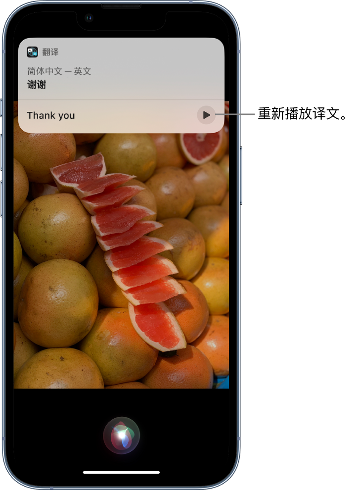 广东苹果14维修分享 iPhone 14 机型中使用 Siri：了解 Siri 能帮你做什么 