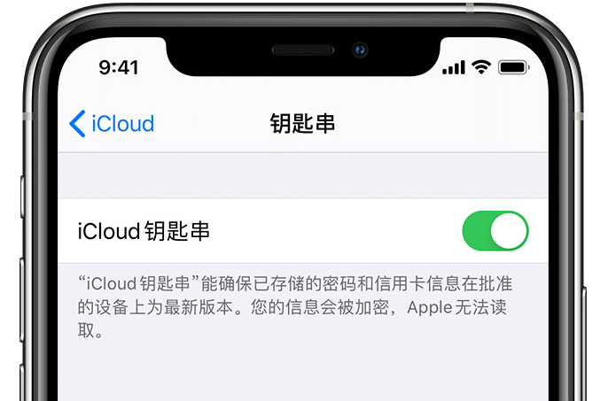 广东苹果手机维修分享在 iPhone 上开启 iCloud 钥匙串之后会储存哪些信息 