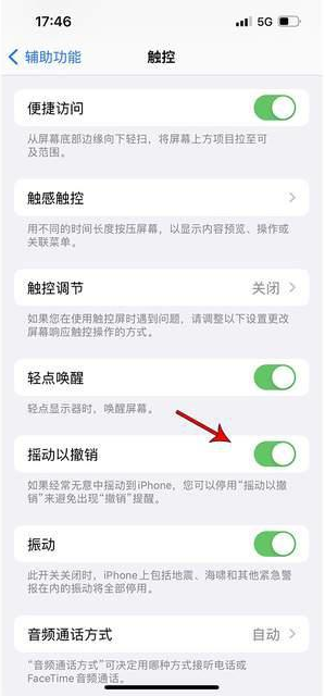 广东苹果手机维修分享iPhone手机如何设置摇一摇删除文字 