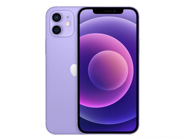 广东苹果手机维修分享现阶段要不要入手紫色版iPhone12 