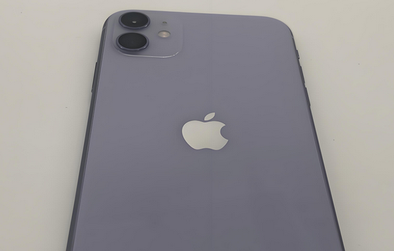 广东苹果11系统维修分享iPhone11手机系统崩溃无法开机如何解决 